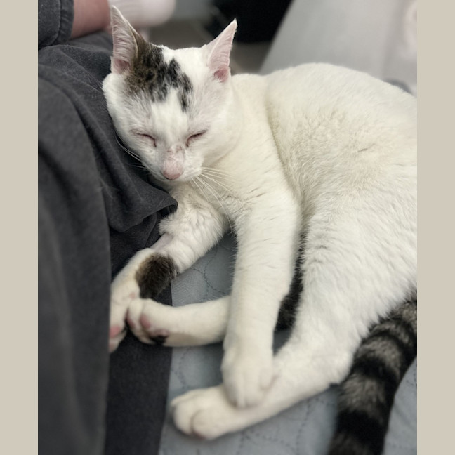 Photo of Squish