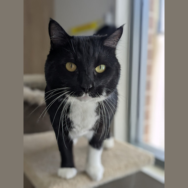 Photo of 🎈 Franklin 5629 🎈