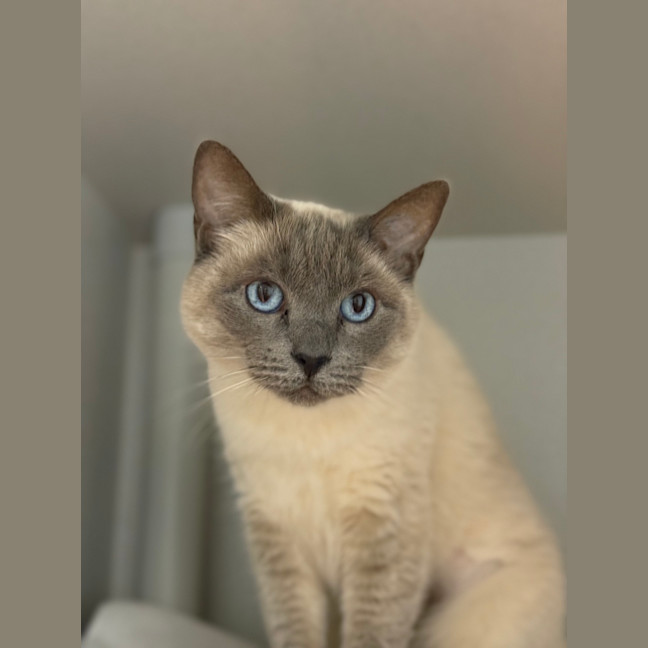 Photo of Precious