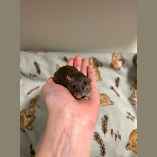 Photo of Toast & Cereal