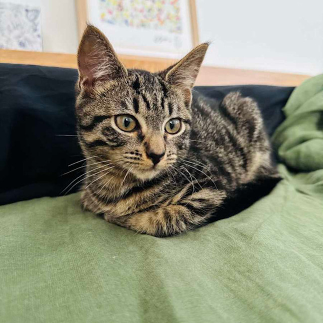 Photo of Beans   Located In Northcote