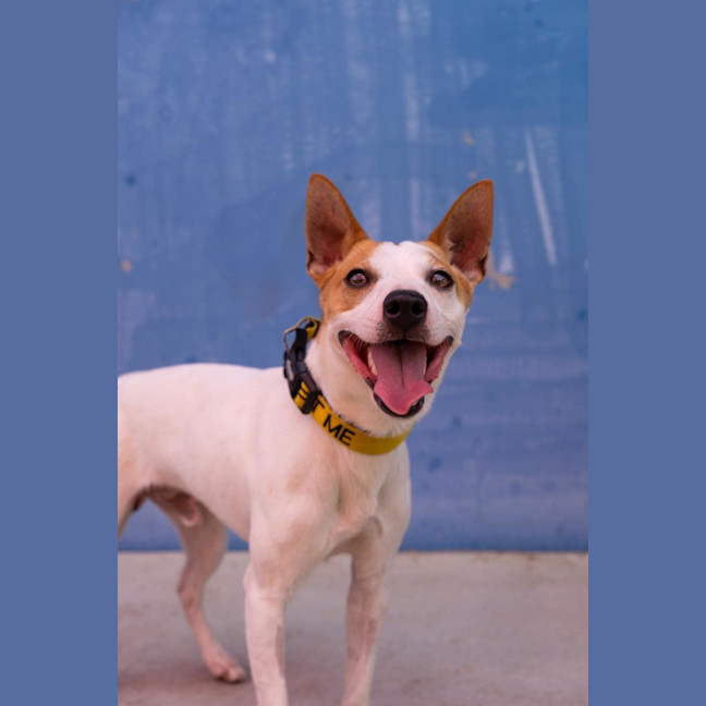 Photo of Zeek