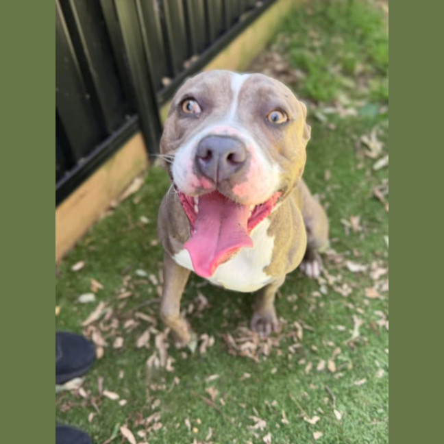 Photo of Aggie