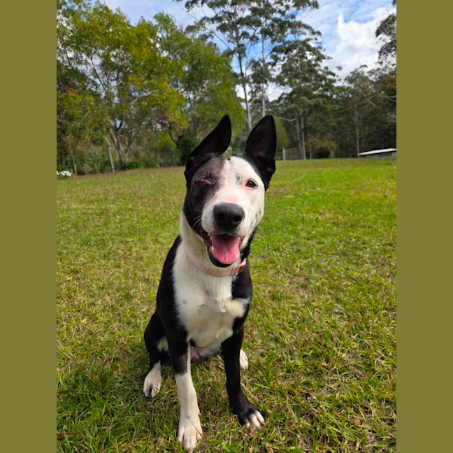 Photo of Annie