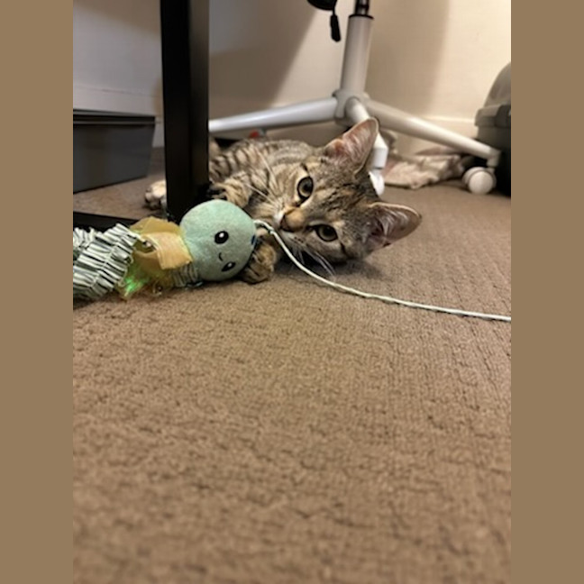 Photo of Jesse