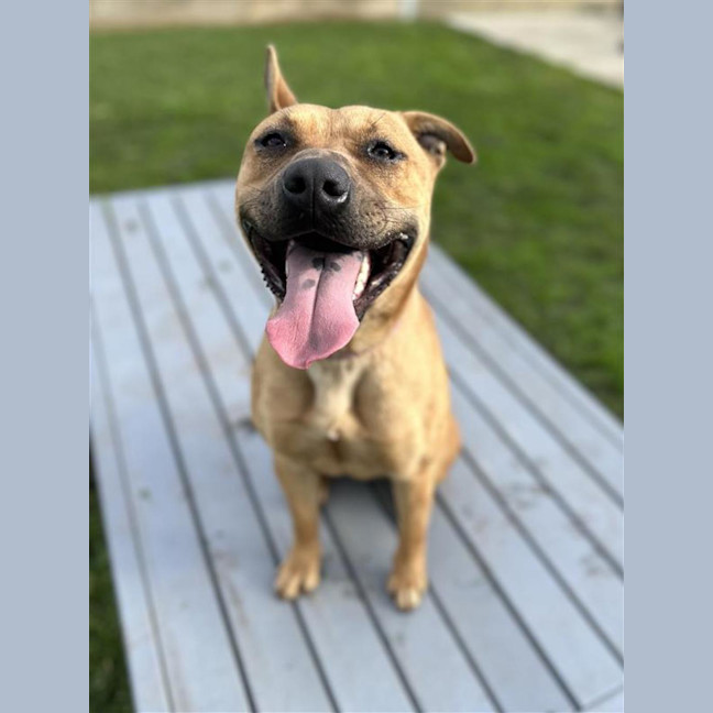 Photo of Ella