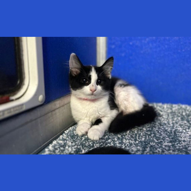 Photo of Minie