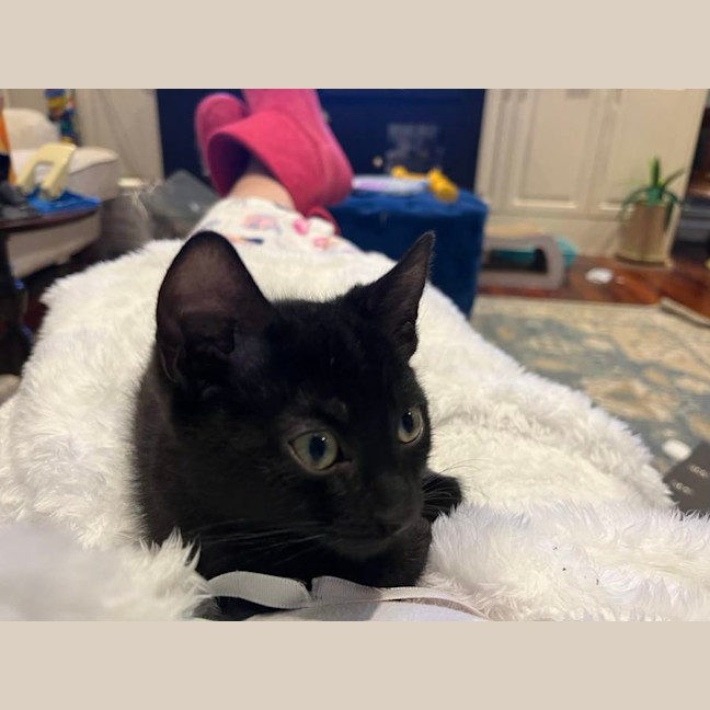 Photo of Ninja