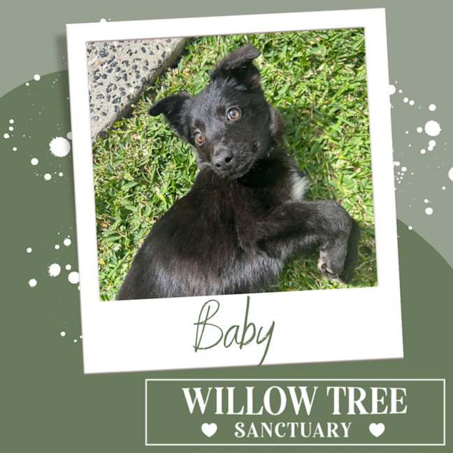 Photo of Baby