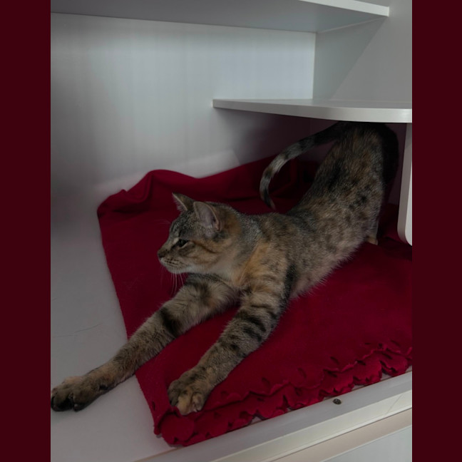 Photo of Sally