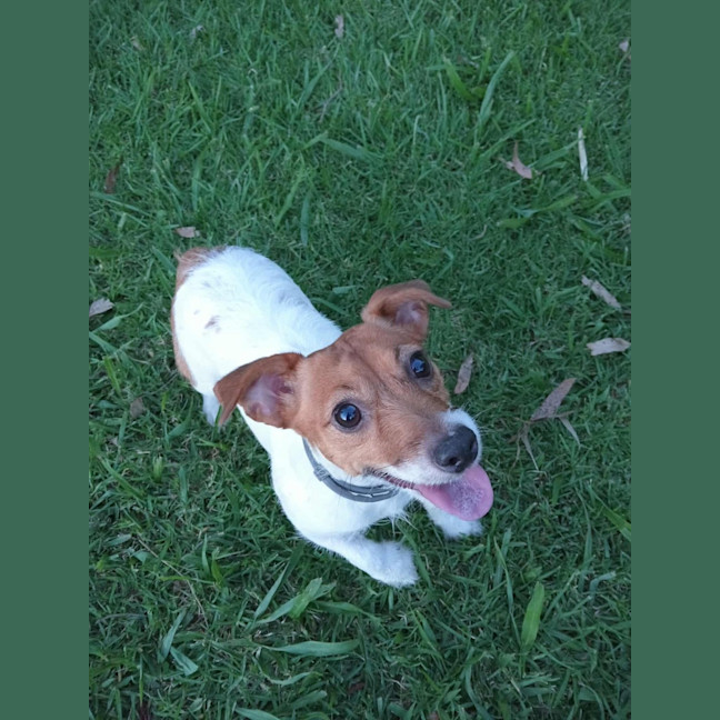 Photo of Meila
