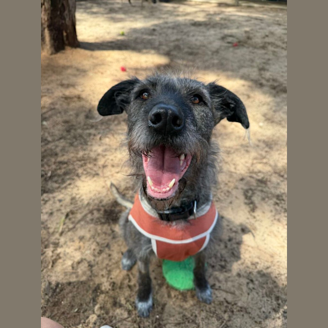 Photo of Daisy
