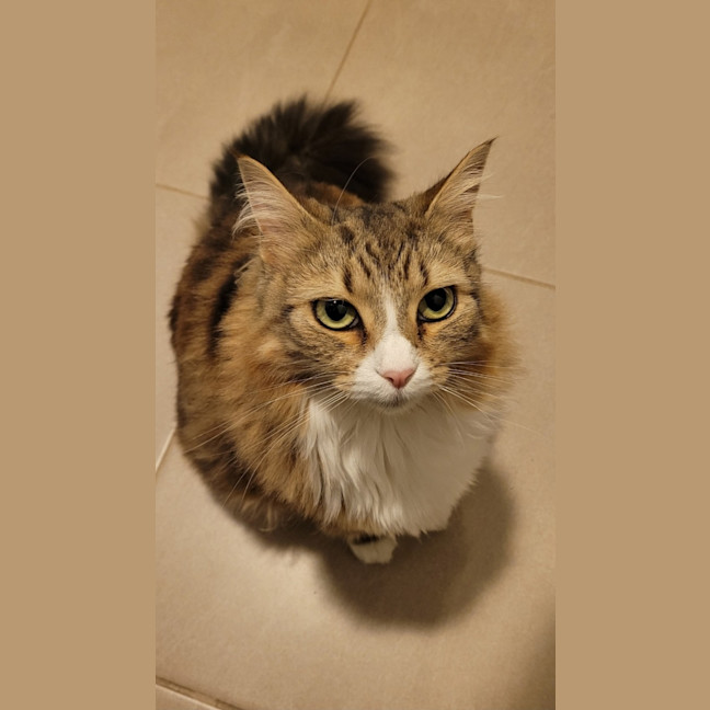 Photo of Princess Wynter