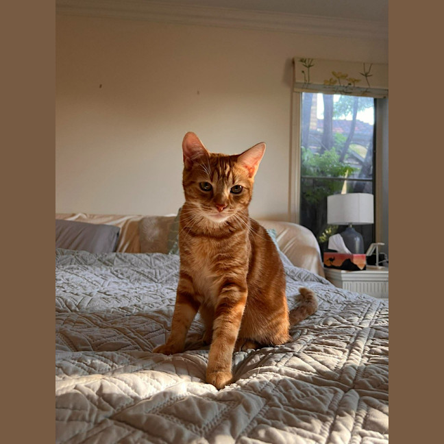 Photo of Dasher