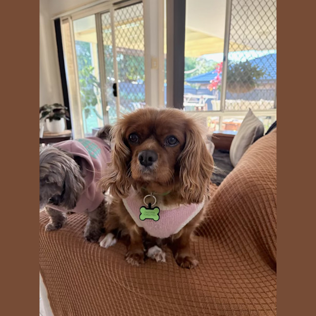 Photo of Ruby