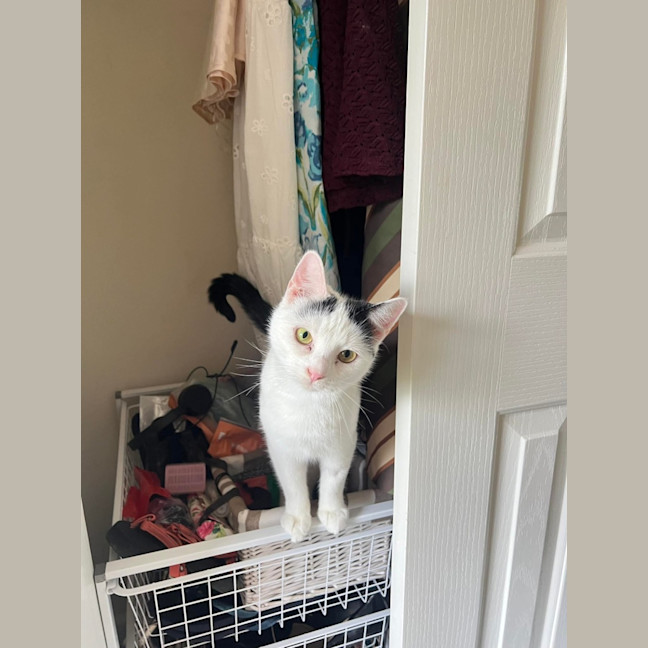 Photo of Lilly