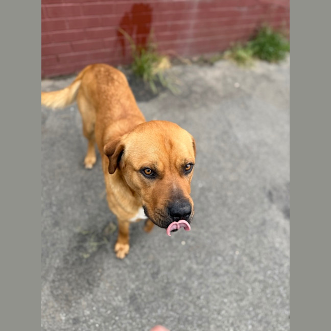 Photo of Bruce