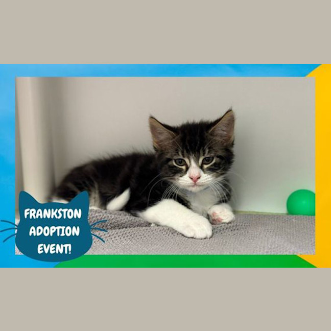 Photo of Stripe