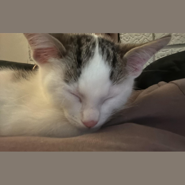Photo of Tonner
