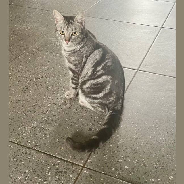 Photo of Cloud