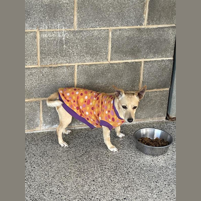 Photo of Buster