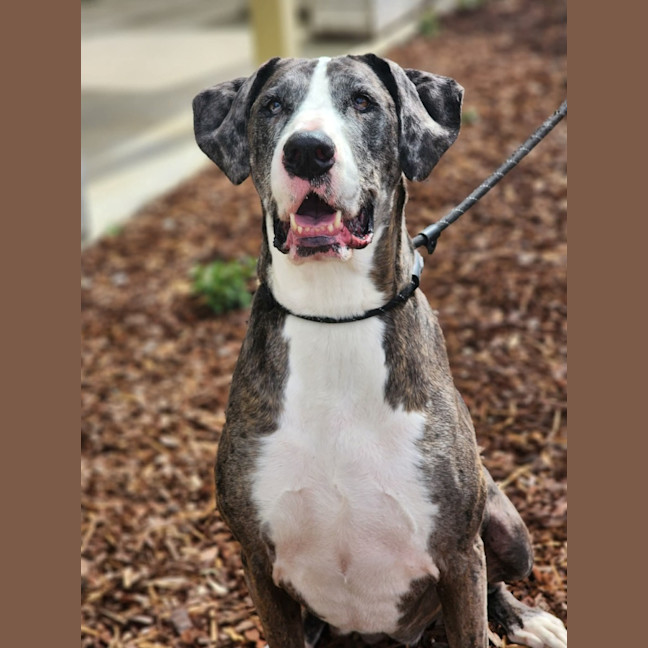 Photo of 🎭 Wednesday 6534 🎭