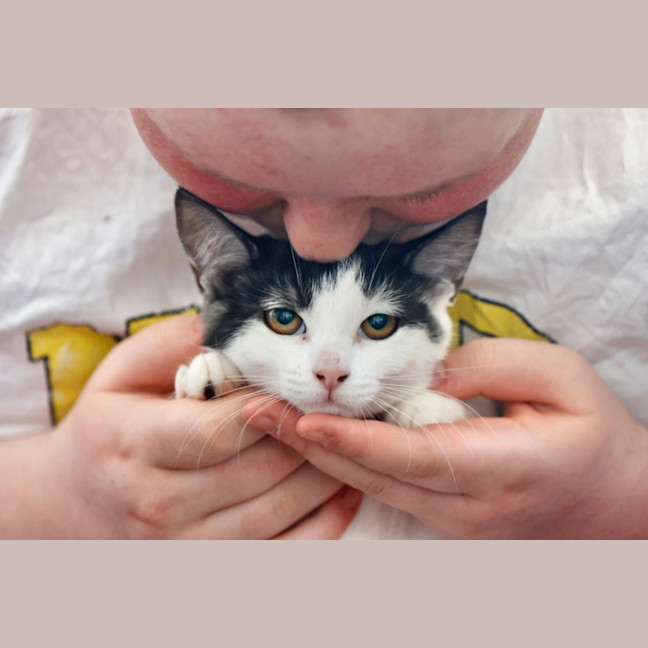 Photo of 🩶Apprentice And Arisaka🧡