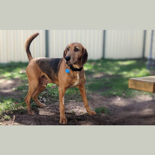 Photo of Gus