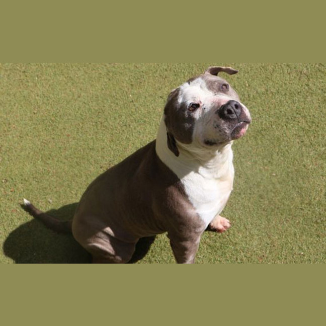 Photo of Lexi
