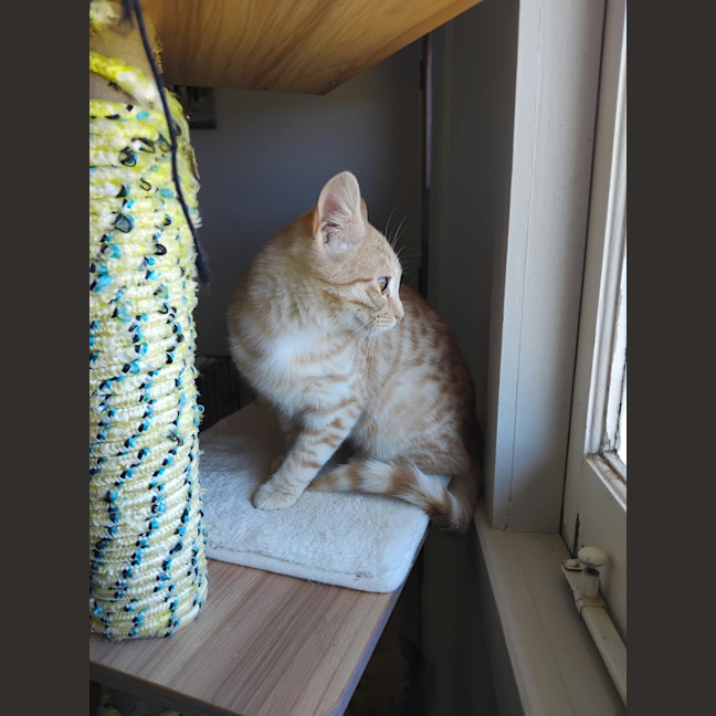 Photo of Kit