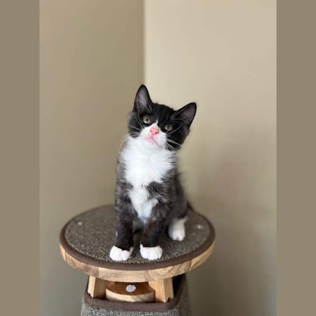 Photo of Bruce & Marigold