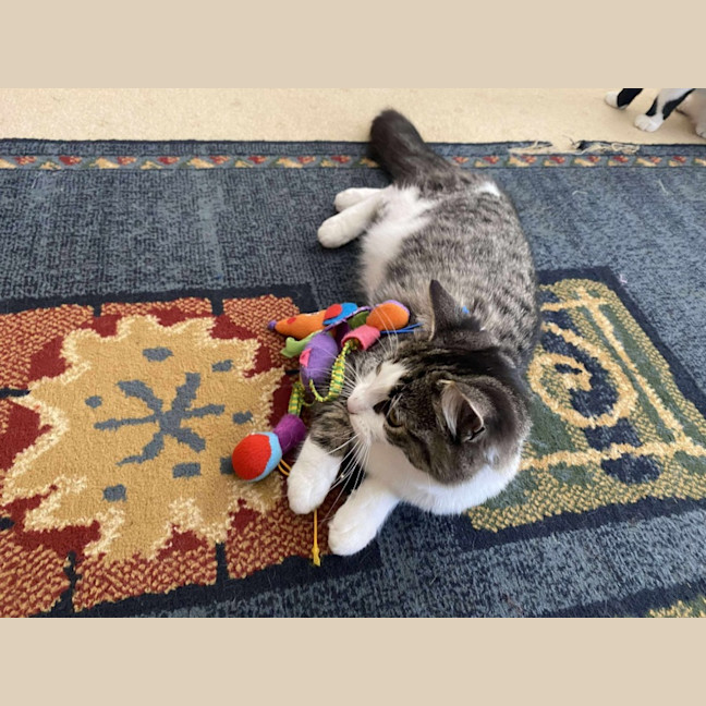 Photo of Mabel 