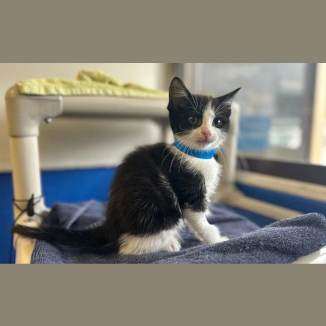 Photo of Spunky