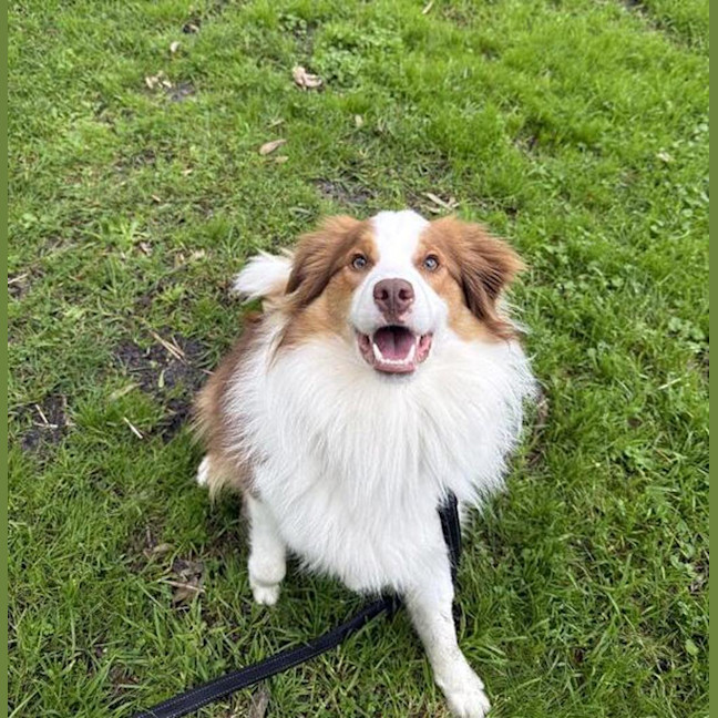 Photo of Momo
