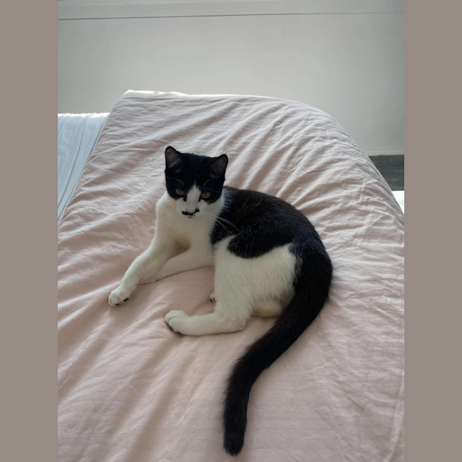 Photo of Milly