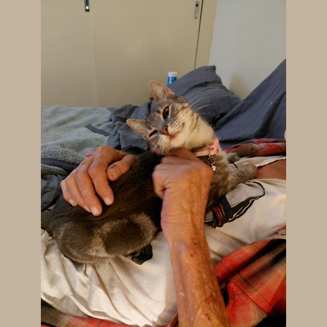 Photo of Zelda