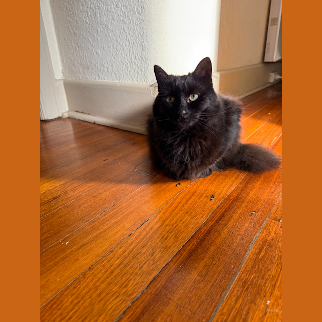 Photo of Freyja: Goddess Of Love & Beauty