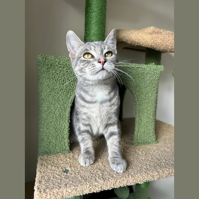 Photo of Maya 💫