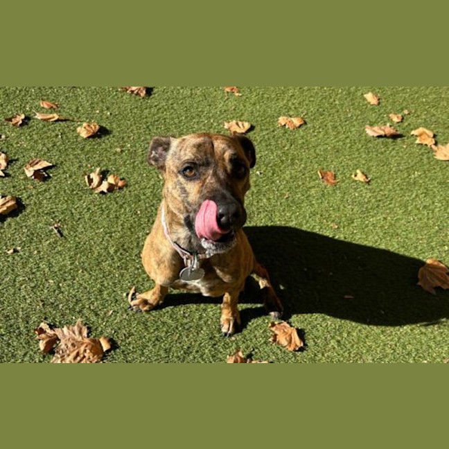 Photo of Jazz