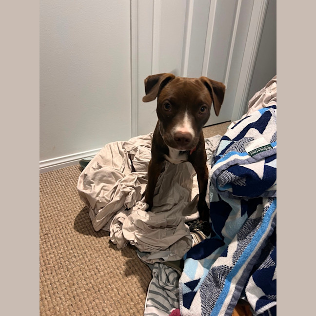 Photo of Peggy
