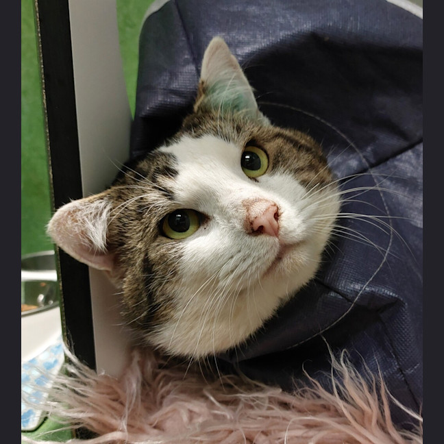 Photo of Bobby