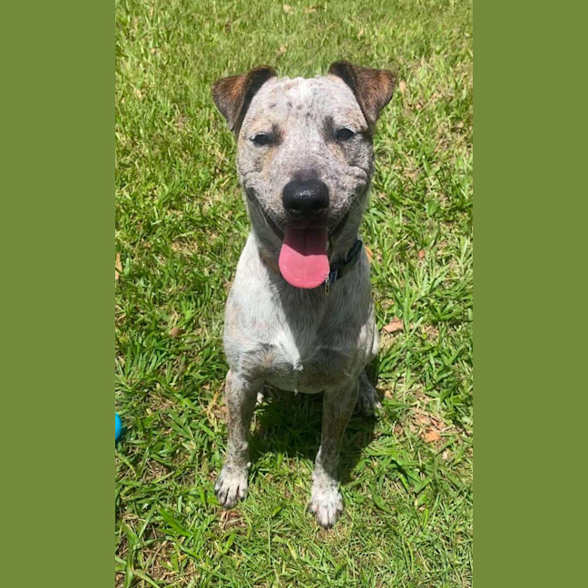 Photo of Turbo