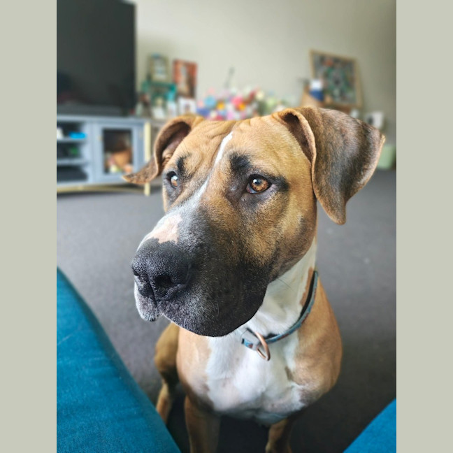Photo of Delilah