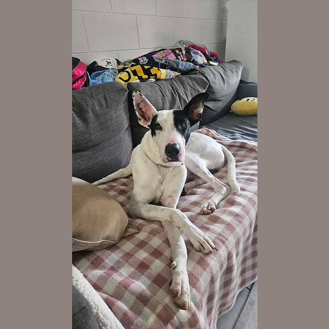 Photo of Aero