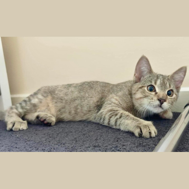 Photo of Roxy