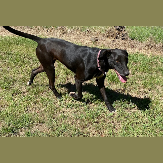 Photo of Bufby