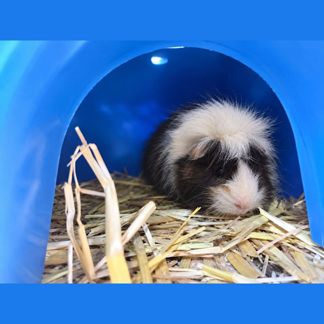 Photo of Fonz