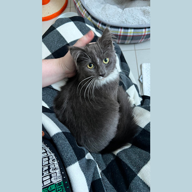 Photo of Jayla