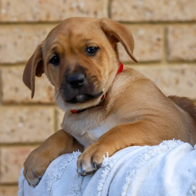 Photo of Addie