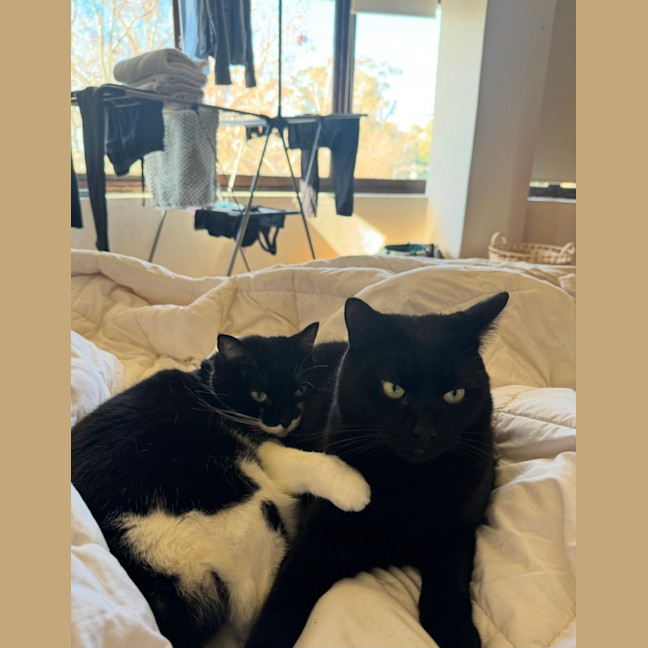 Photo of Millie & Diego